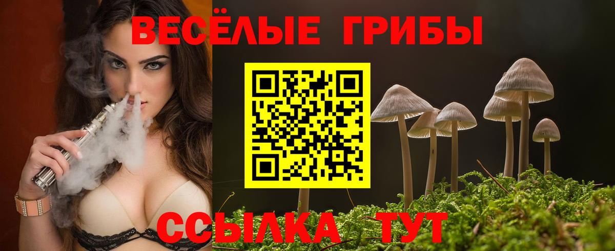 Псилоцибиновые грибы Psilocybe Строитель